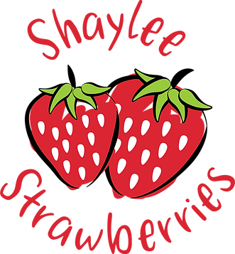 Shaylee Strawberries logo